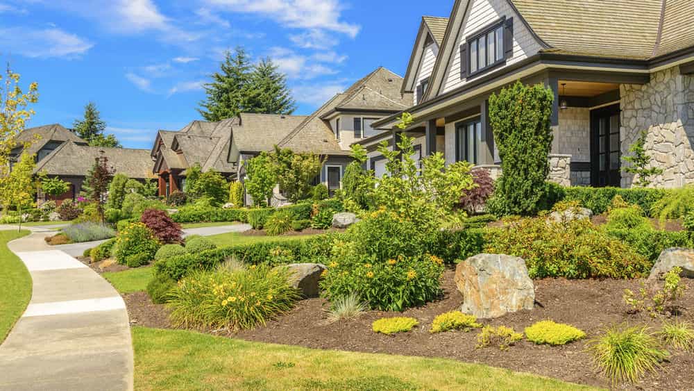 Hero image for Arces Lawn Service & Landscape